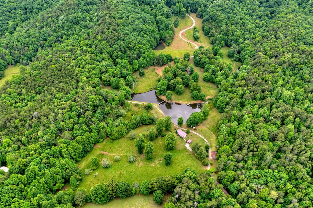 20.11 Ac Mountain View Road Property Photo 27