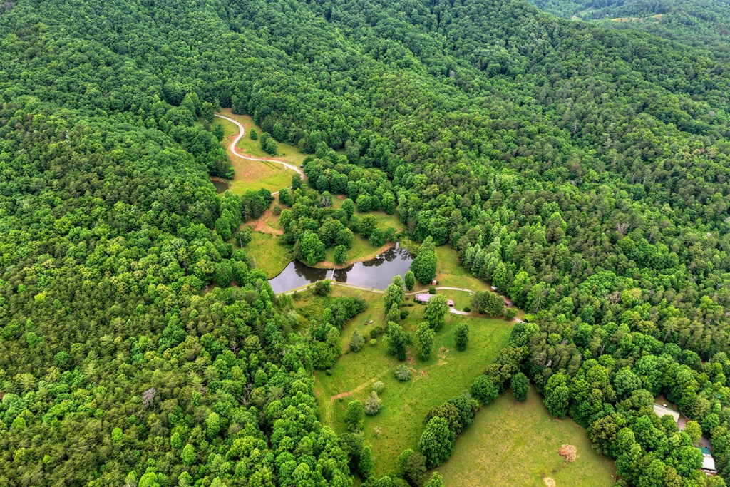 20.11 Ac Mountain View Road Property Photo 28