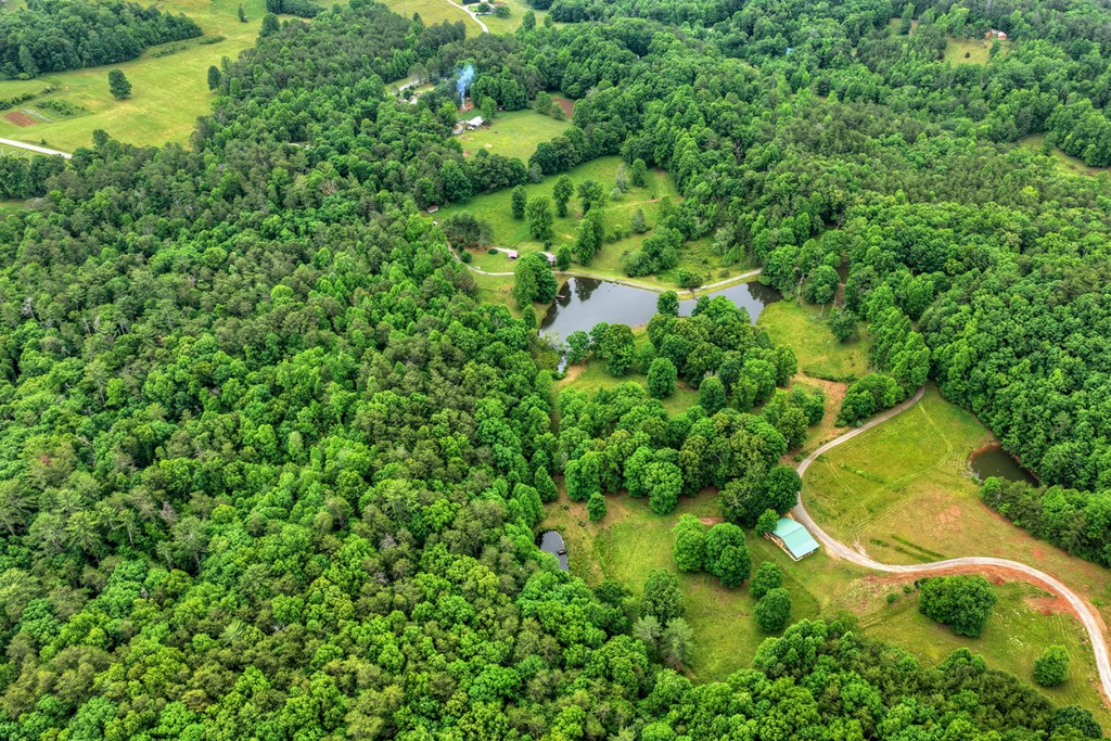 20.11 Ac Mountain View Road Property Photo 30