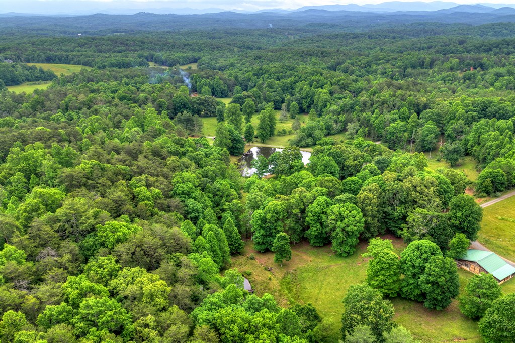 20.11 Ac Mountain View Road Property Photo 31