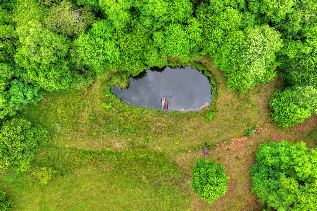 20.11 Ac Mountain View Road Property Photo 32