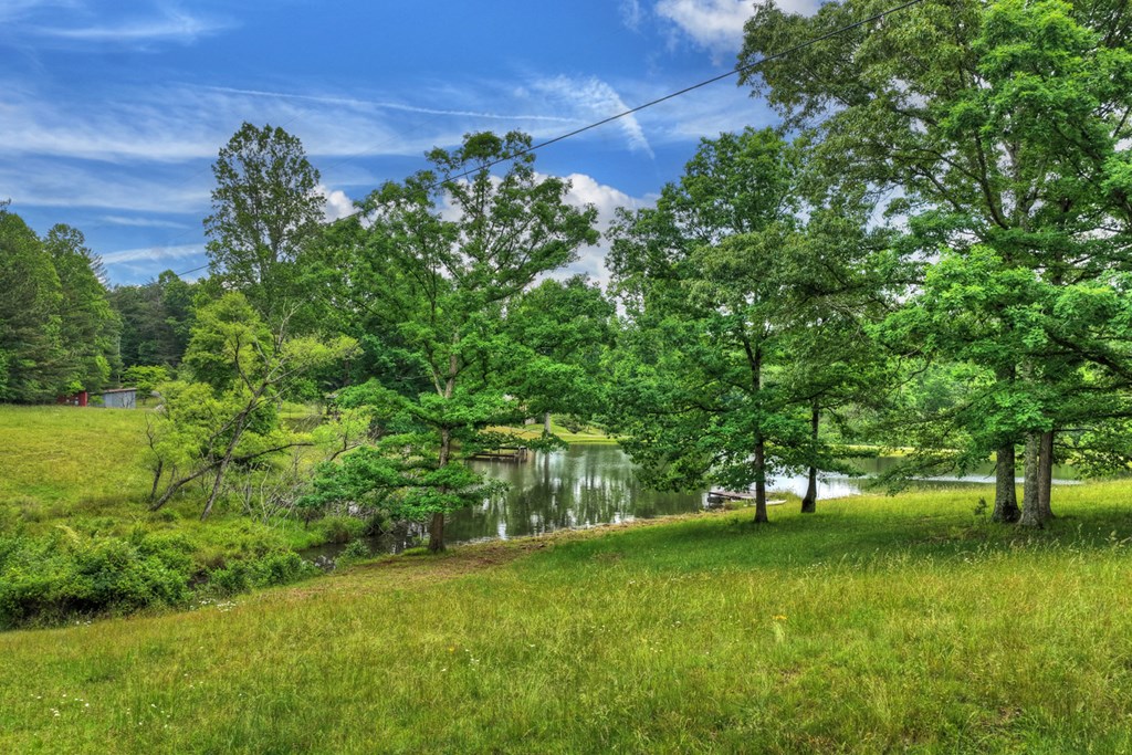 20.11 Ac Mountain View Road Property Photo 37