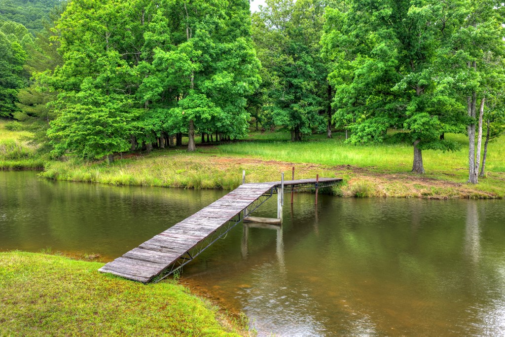 20.11 Ac Mountain View Road Property Photo 40