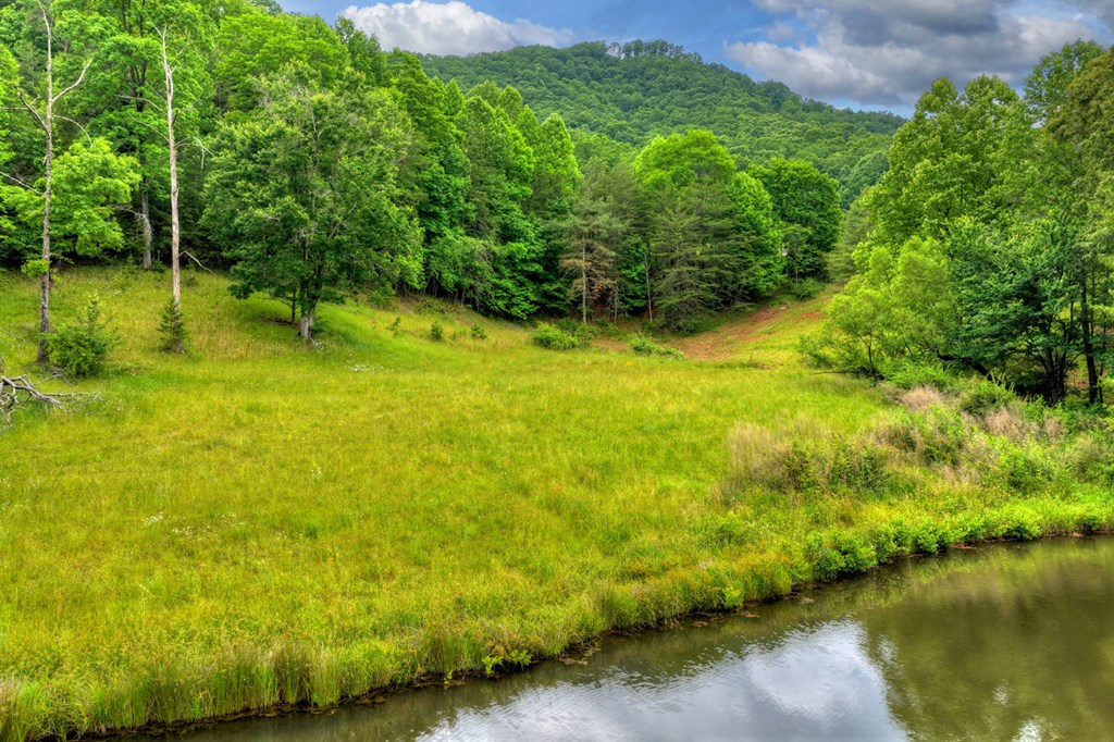 20.11 Ac Mountain View Road Property Photo 45