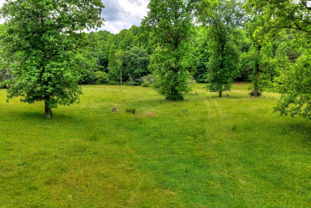 20.11 Ac Mountain View Road Property Photo 5