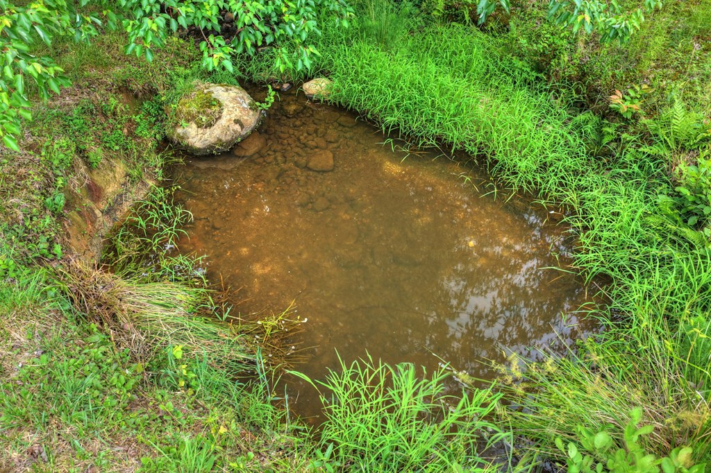 20.11 Ac Mountain View Road Property Photo 15