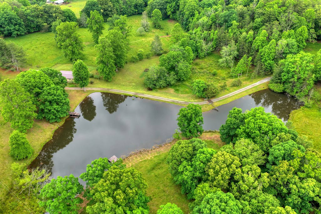 20.11 Ac Mountain View Road Property Photo 20
