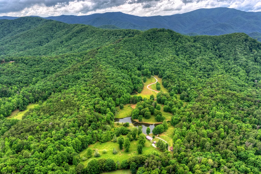 20.11 Ac Mountain View Road Property Photo 25