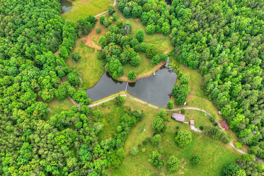20.11 Ac Mountain View Road Property Photo 28