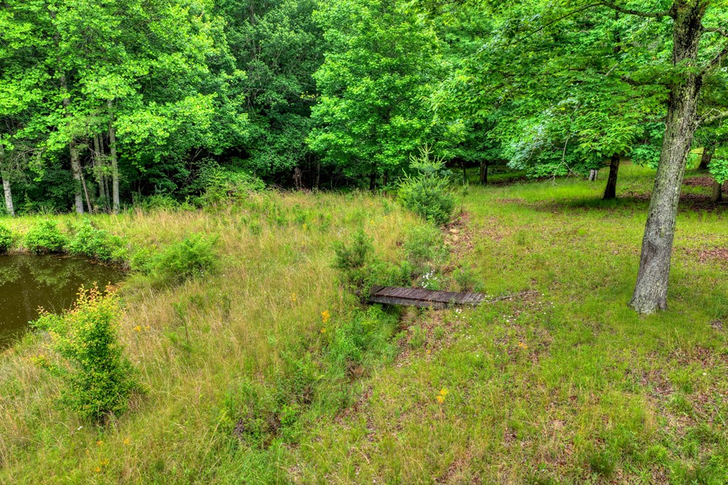 20.11 Ac Mountain View Road Property Photo 34