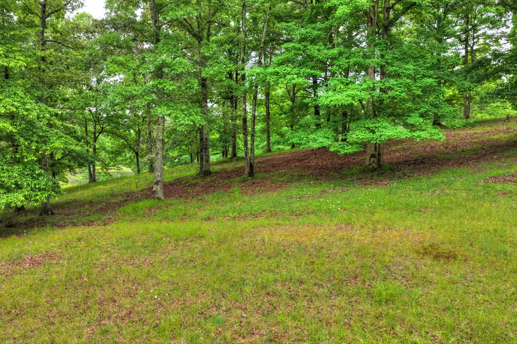 20.11 Ac Mountain View Road Property Photo 35