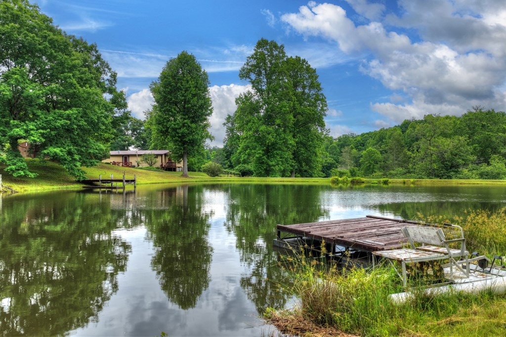 20.11 Ac Mountain View Road Property Photo 38