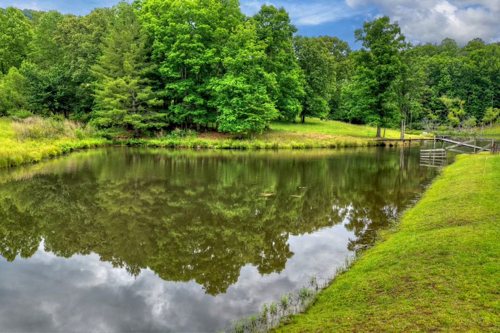 20.11 Ac Mountain View Road Property Photo 41