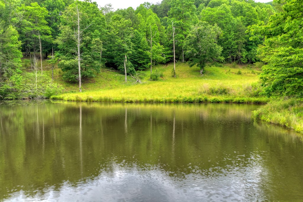 20.11 Ac Mountain View Road Property Photo 43