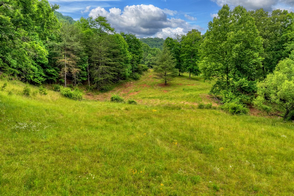20.11 Ac Mountain View Road Property Photo 45