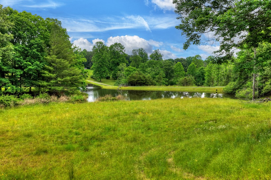 20.11 Ac Mountain View Road Property Photo 46