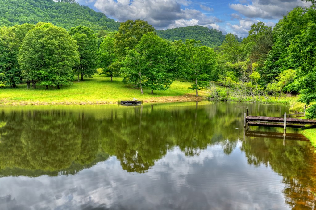 20.11 Ac Mountain View Road Property Photo 48