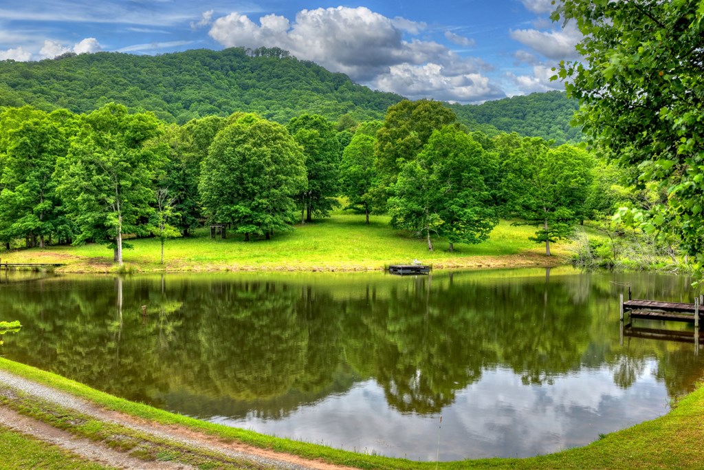 20.11 Ac Mountain View Road Property Photo 49