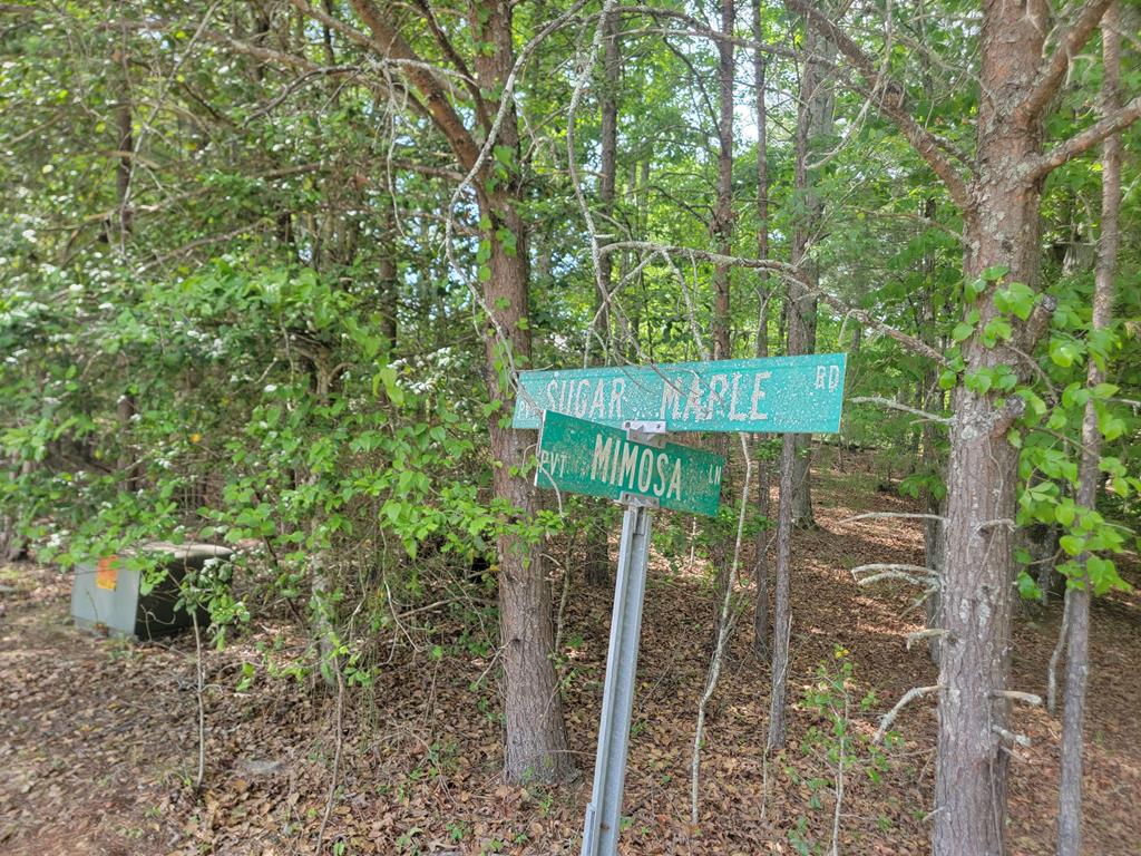 Lot 44 Sugar Maple Lane Property Photo 1
