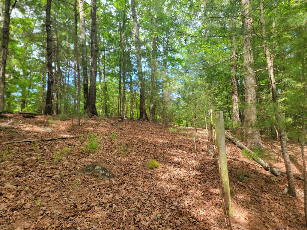 Lot 44 Sugar Maple Lane Property Photo 6