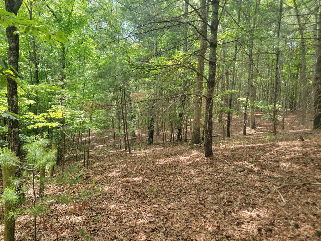 Lot 44 Sugar Maple Lane Property Photo 7