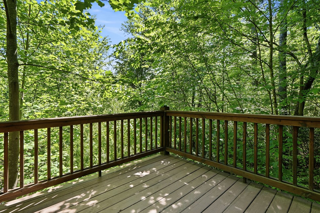 37 Dean Court Property Photo 25
