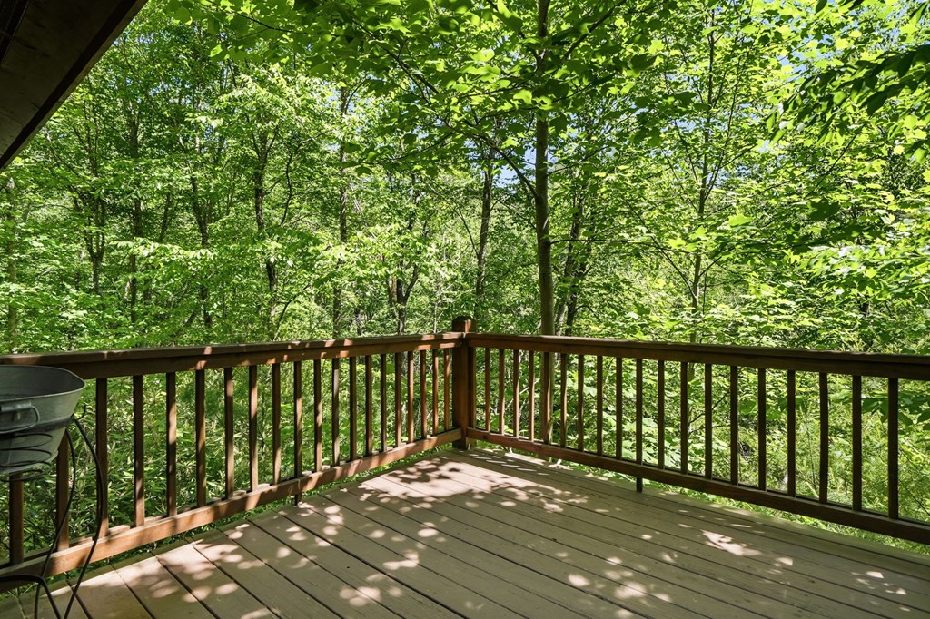 37 Dean Court Property Photo 26