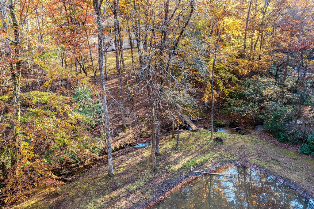 339 Wehunt Road Property Photo 81