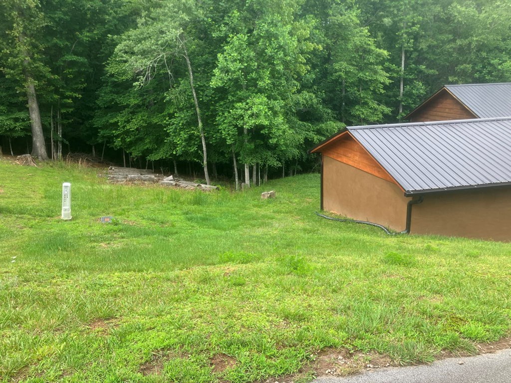 86 Point Overlook Trail Property Photo 32