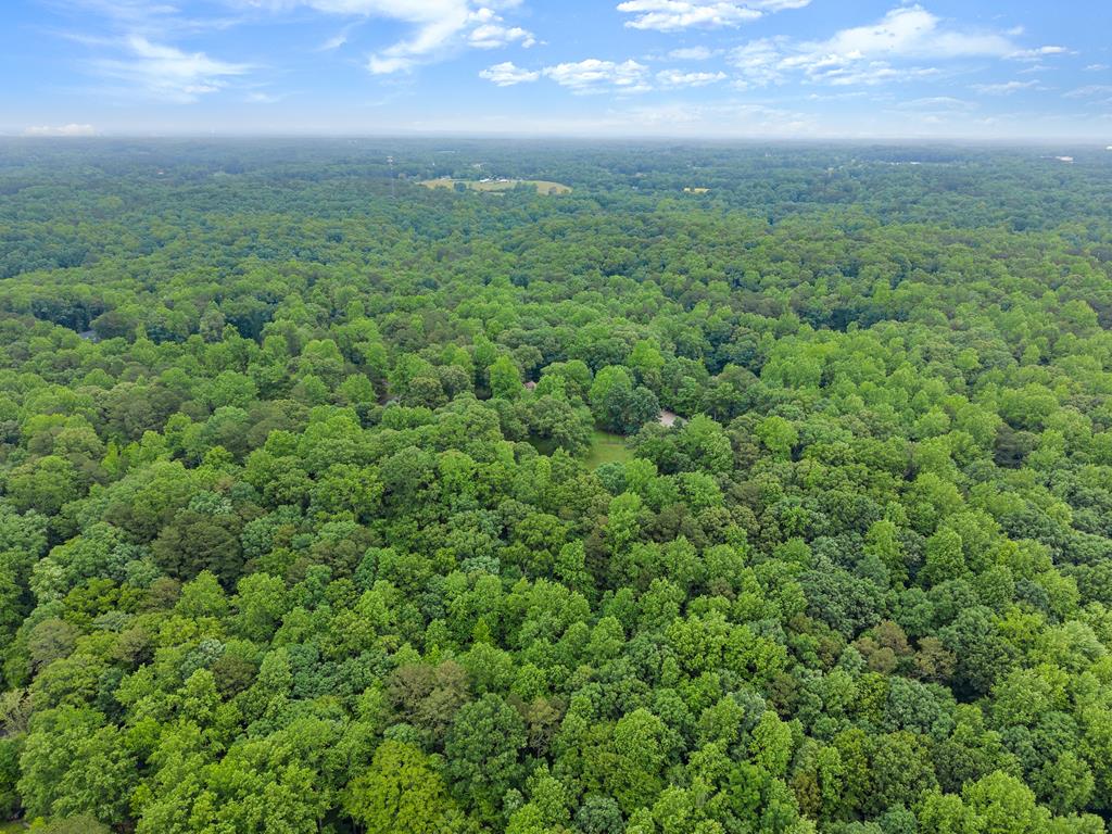 802 Old Mill Trail Property Photo 81