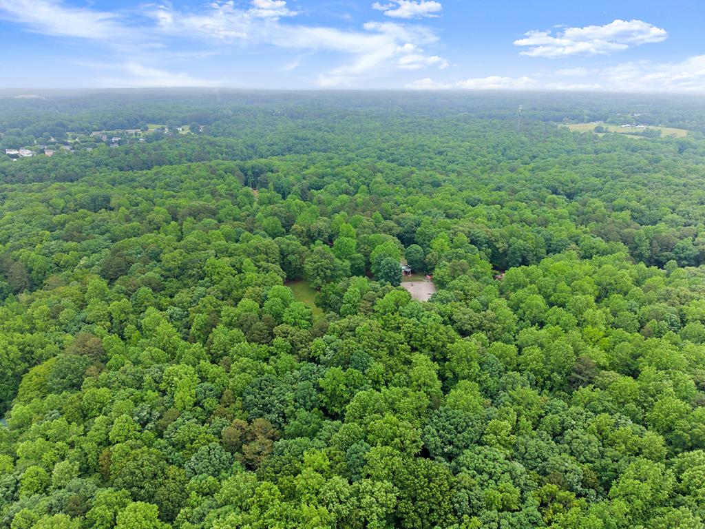 802 Old Mill Trail Property Photo 82