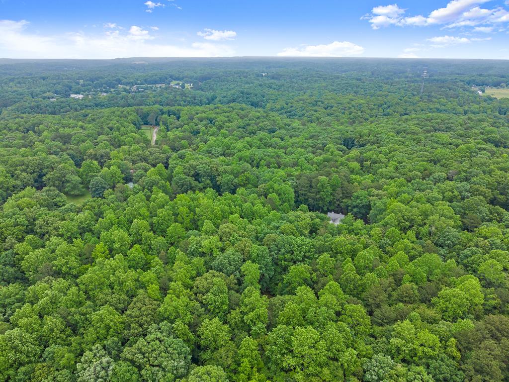 802 Old Mill Trail Property Photo 83