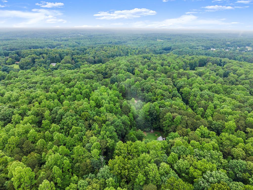 802 Old Mill Trail Property Photo 84
