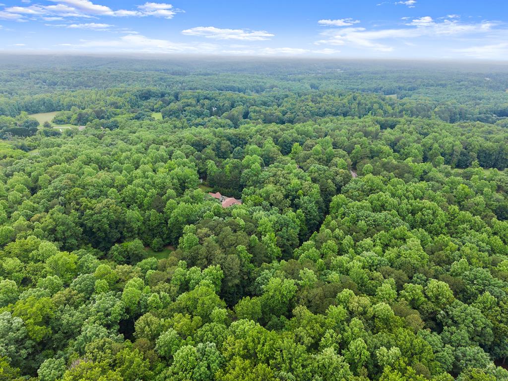 802 Old Mill Trail Property Photo 85