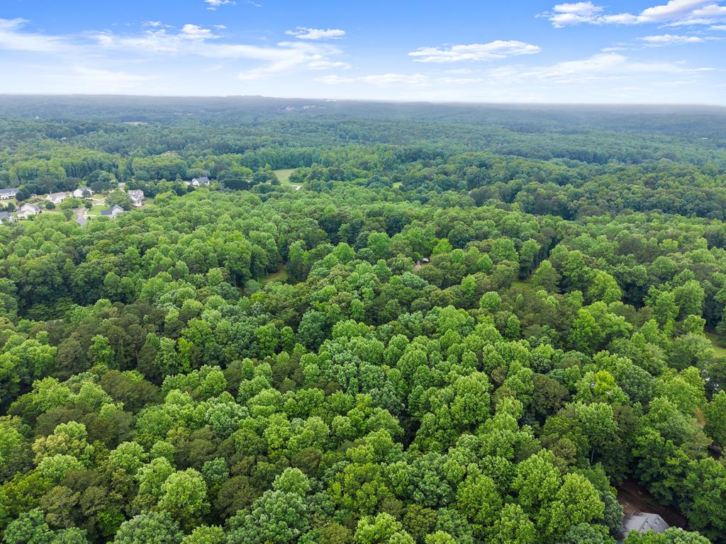802 Old Mill Trail Property Photo 86