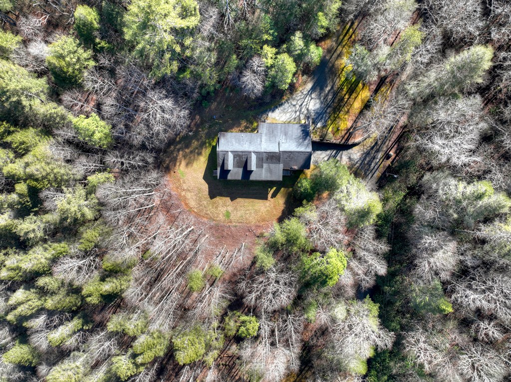 7233 Shakerag Road Property Photo 47