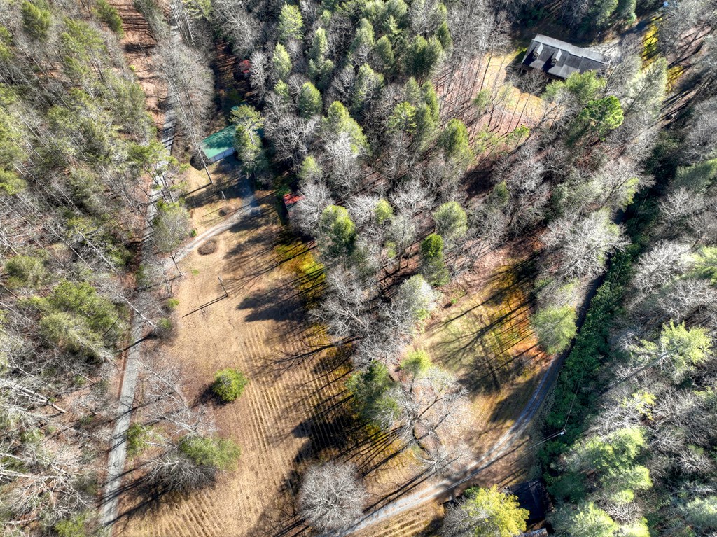 7233 Shakerag Road Property Photo 48