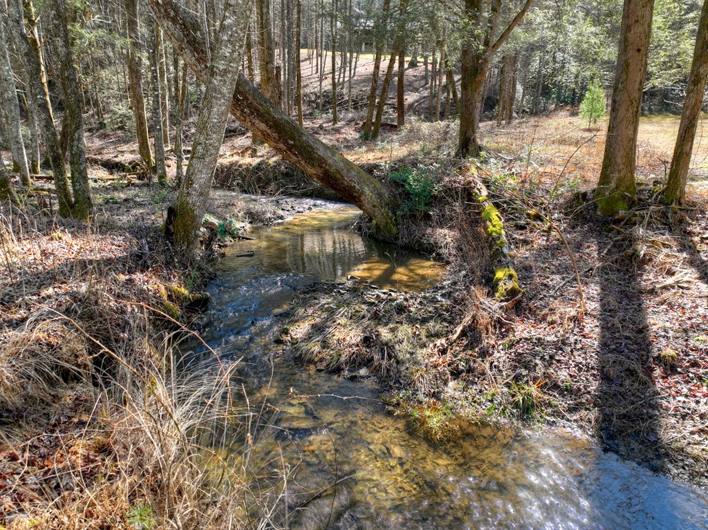 7233 Shakerag Road Property Photo 53
