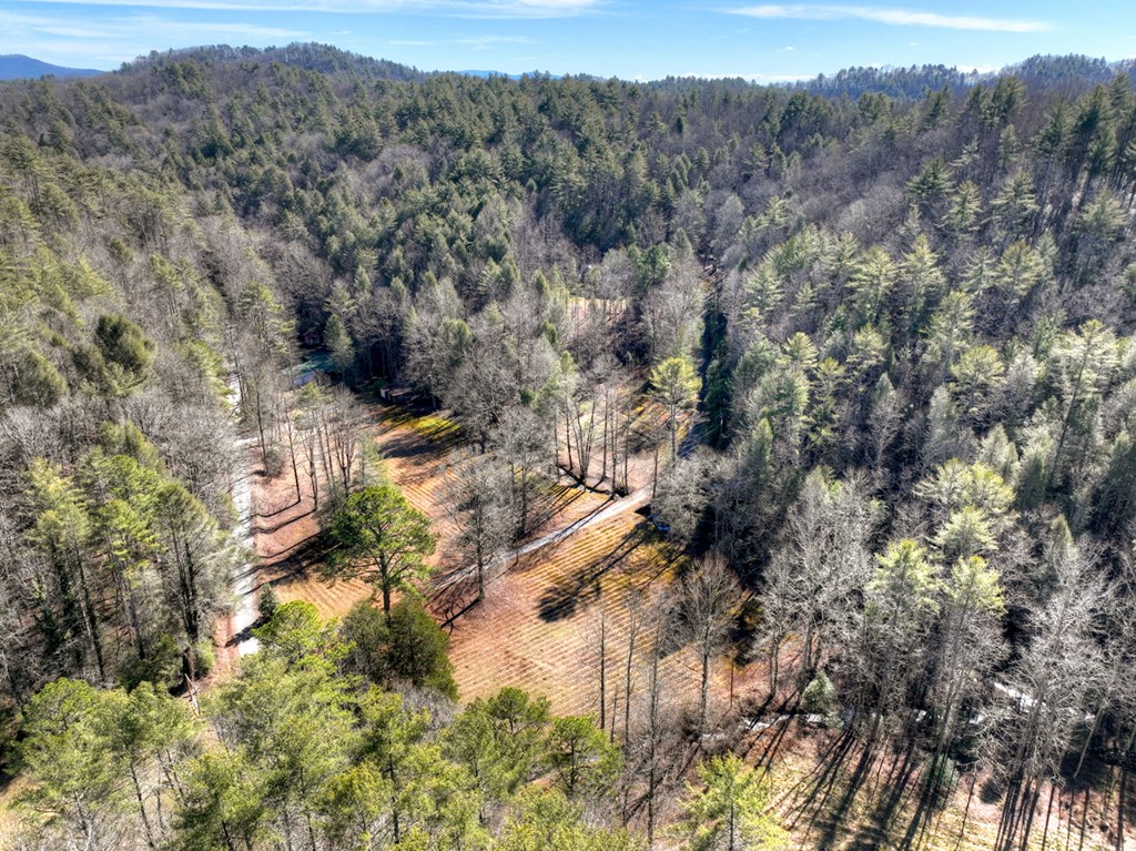 7233 Shakerag Road Property Photo 77