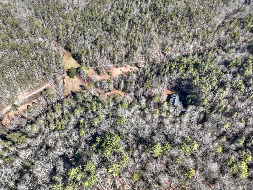 7233 Shakerag Road Property Photo 78
