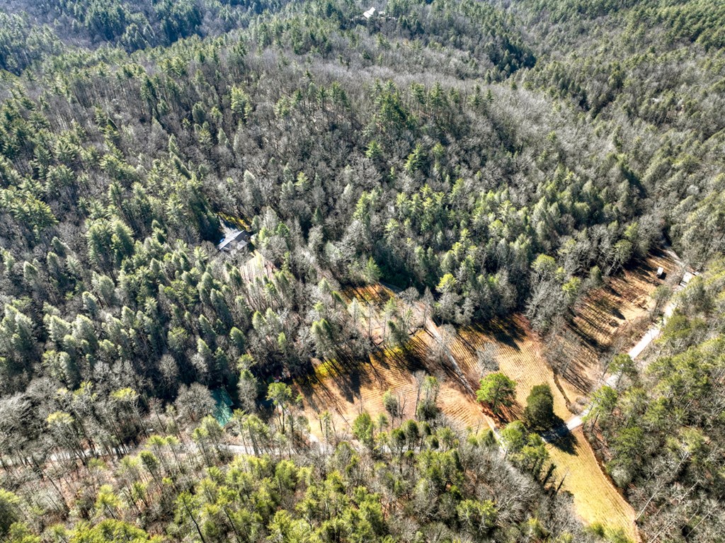 7233 Shakerag Road Property Photo 80