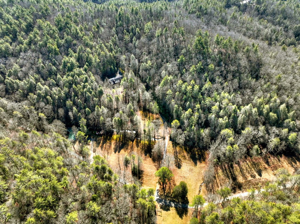 7233 Shakerag Road Property Photo 81