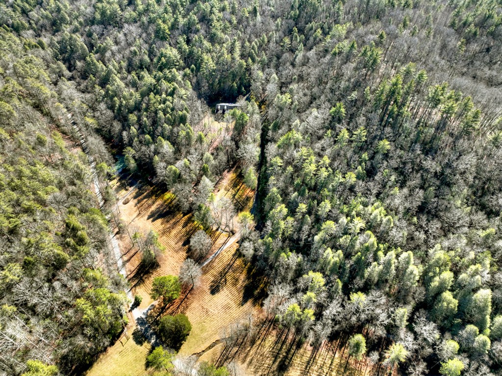 7233 Shakerag Road Property Photo 82