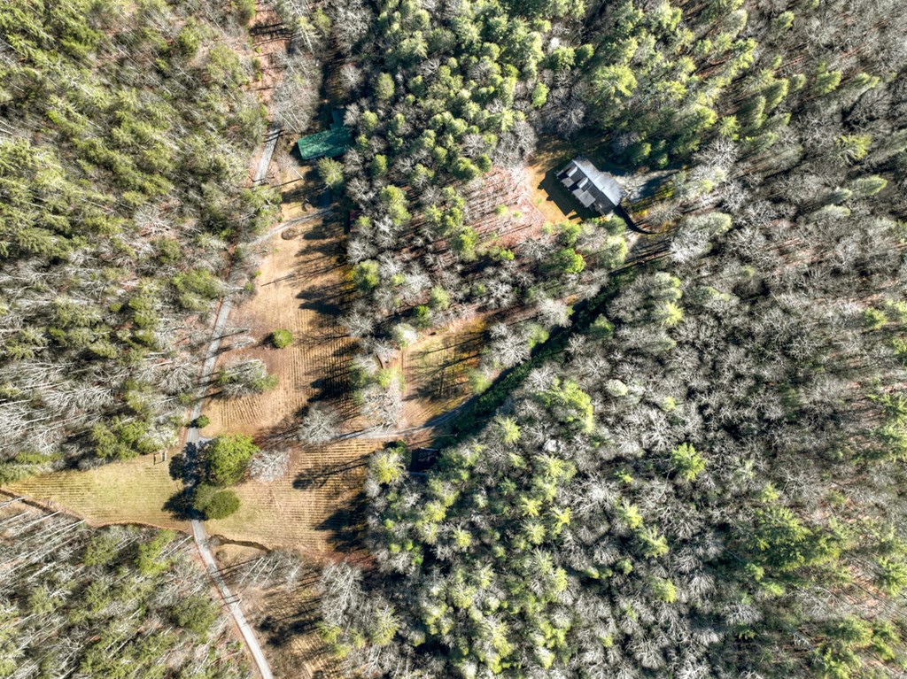 7233 Shakerag Road Property Photo 83