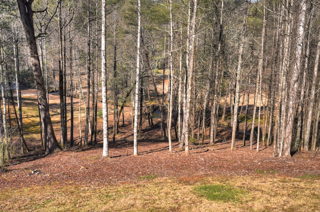 7233 Shakerag Road Property Photo 88