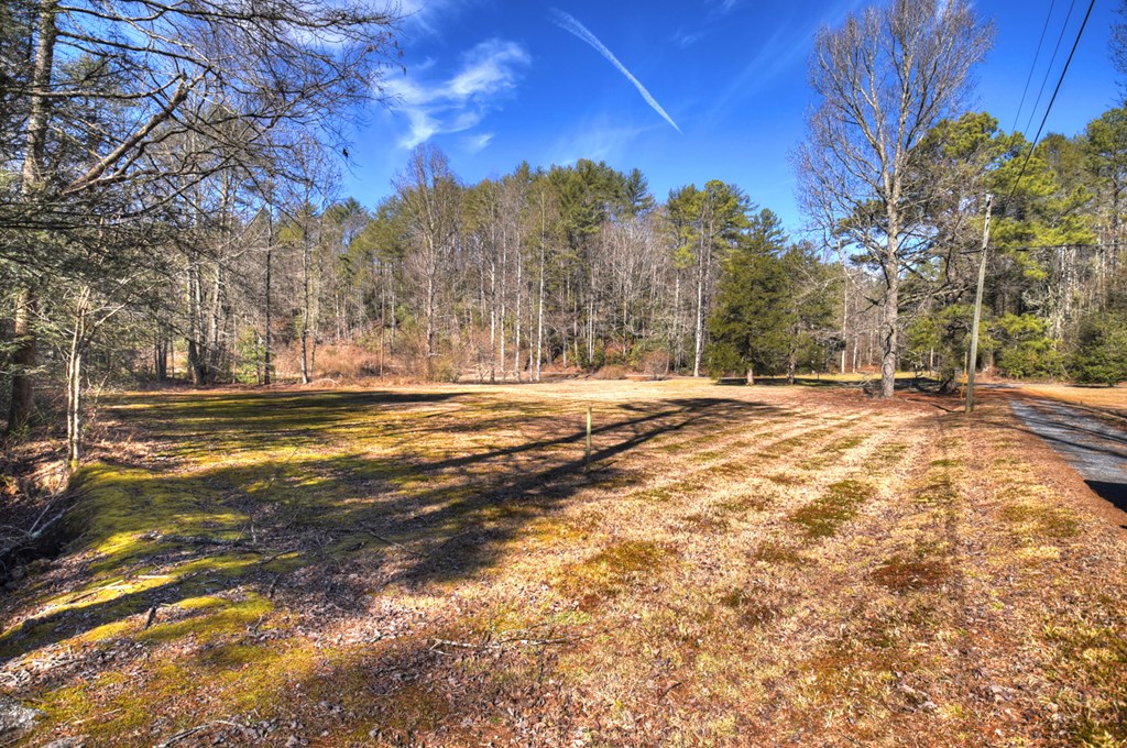 7233 Shakerag Road Property Photo 96