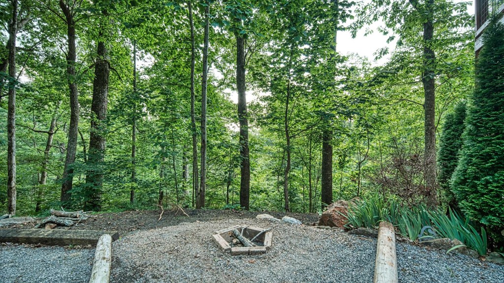 2529 Hunter Road Property Photo 45