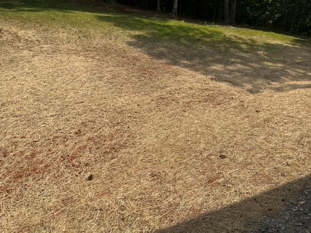 42 Robins Nest Way Property Photo 31