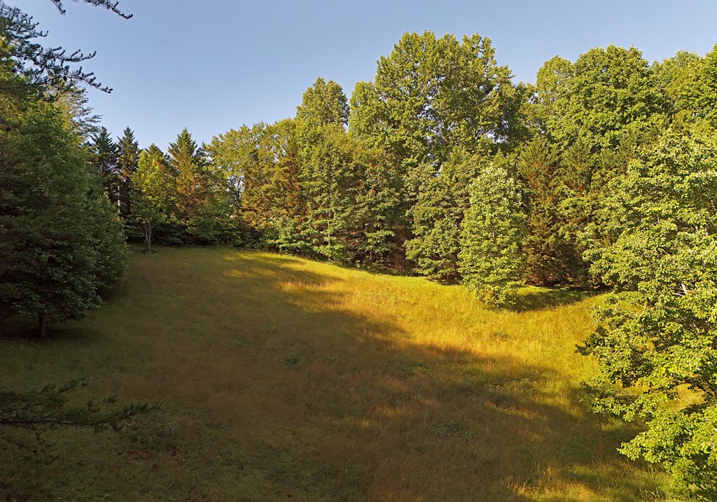 175 Bell Road Property Photo 37