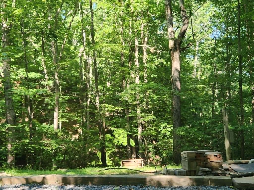 158 5th Street Property Photo 5